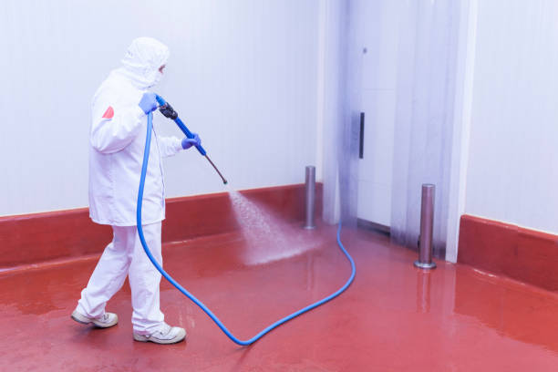 Best Roof Washing  in Kennesaw, GA